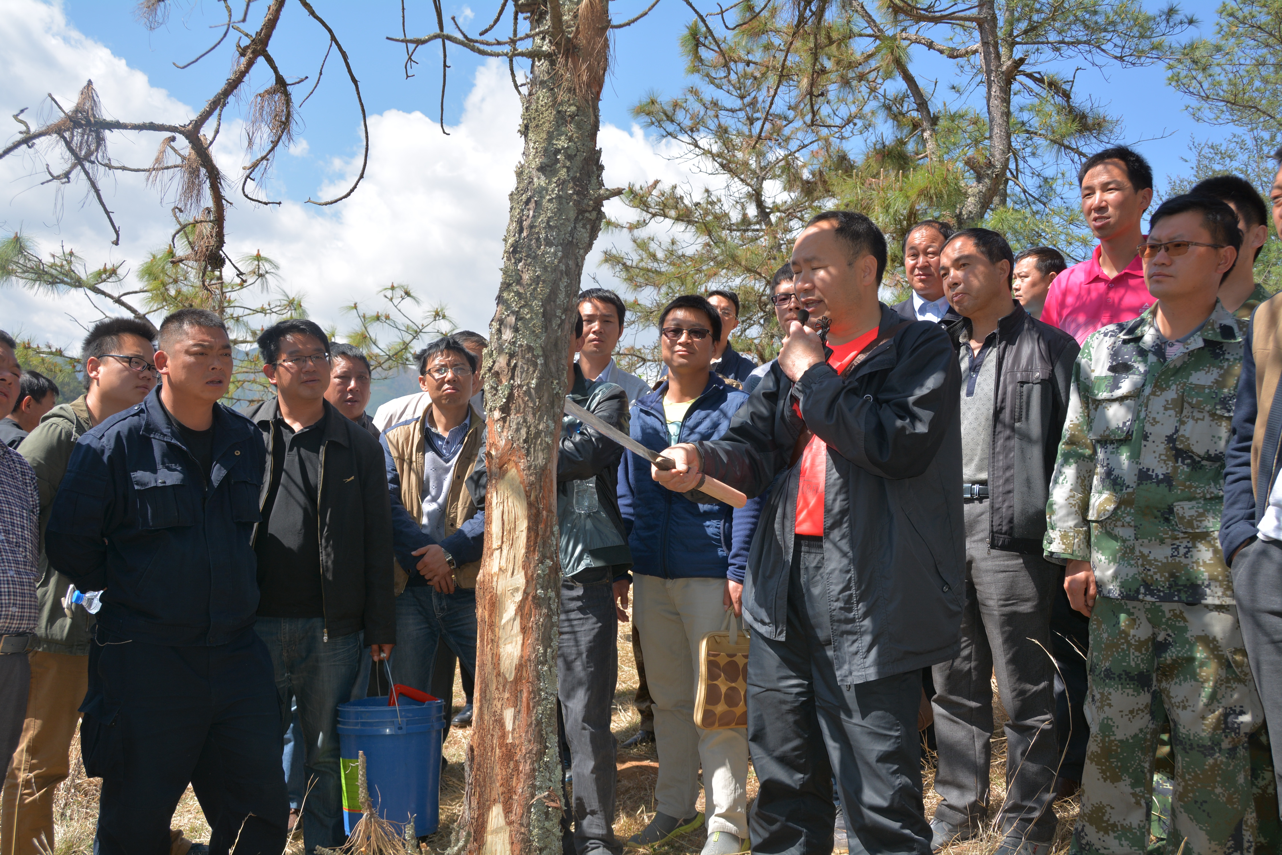 ����չ���¾��ô�ũ����