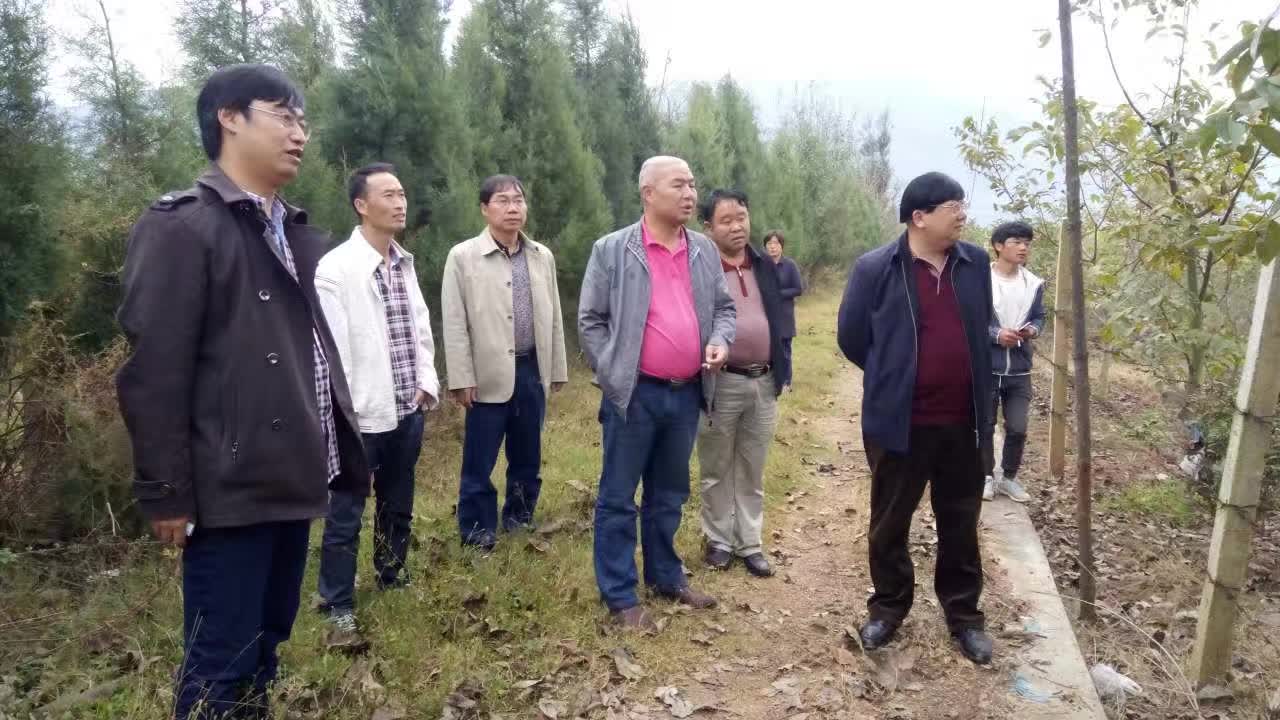 ʡ������վ������ҵ���쵼����Ͷ��̬����˾�ιۿ���