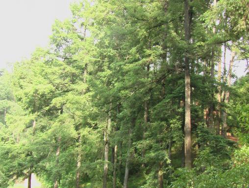 mobile38-365365ǿ�����챣���̵�ʵʩ���